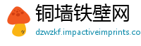 铜墙铁壁网